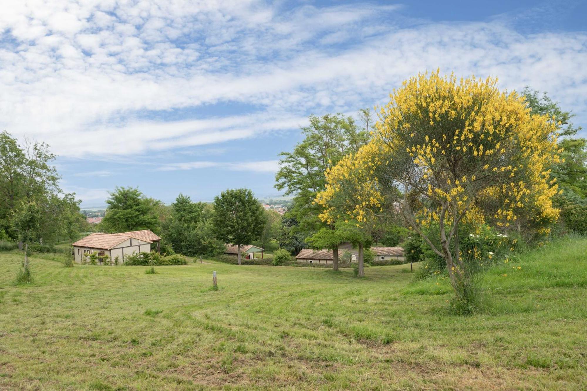 Camping Le Mont Libre - Cottage & Espace Nature - 加纳 外观 照片